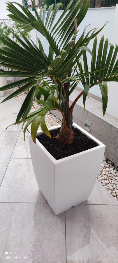 Luxury Townhouse Apartman Costa Adeje  Kültér fotó